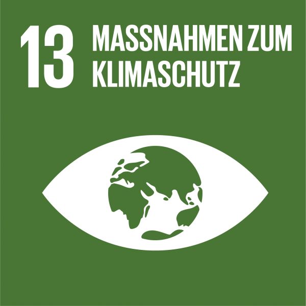 SDG Ziel 13 Massnahmen zum Klimaschutz 1
