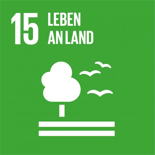 SDG Ziel 15 Leben an Land